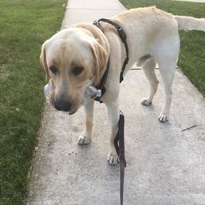 Meet your Posher, Rob